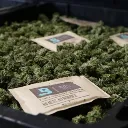 boveda-58-mantenimento-umidita-costante-67gr-imbustato-singolarmente (2).webp