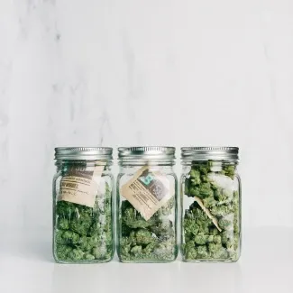 boveda-58-mantenimento-umidita-costante-8gr-imbustato-singolarmente (2).webp