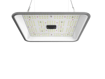 ORTOLED Quantum Full Cycle 2.7 µmol/J | Full Spectrum LED Lamp | 60W Samsung